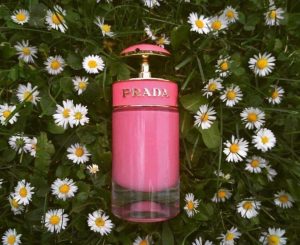 nuoc-hoa-nu-prada-candy-gloss-for-woman-edt-100ml