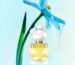 nuoc-hoa-nu-moschino-toy-2-for-Women-edp-100ml