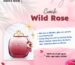 nuoc-hoa-nu-coach-wild-rose-edp-90ml