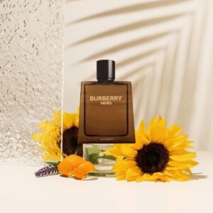 nuoc-hoa-nam-burberry-burberry-hero-for-men-edp-100ml