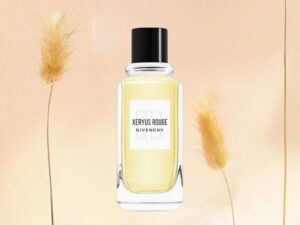 nuoc-hoa-nam-givenchy-xeryus-rouge-edt-100ml